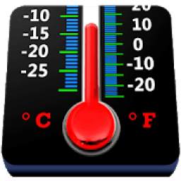 DS Thermometer