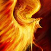 Phoenix Kill FPS