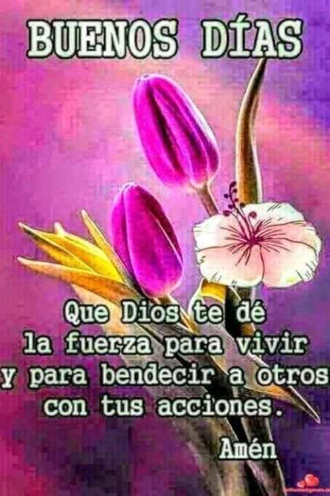 Frases de buenos días para tu amor screenshot 6