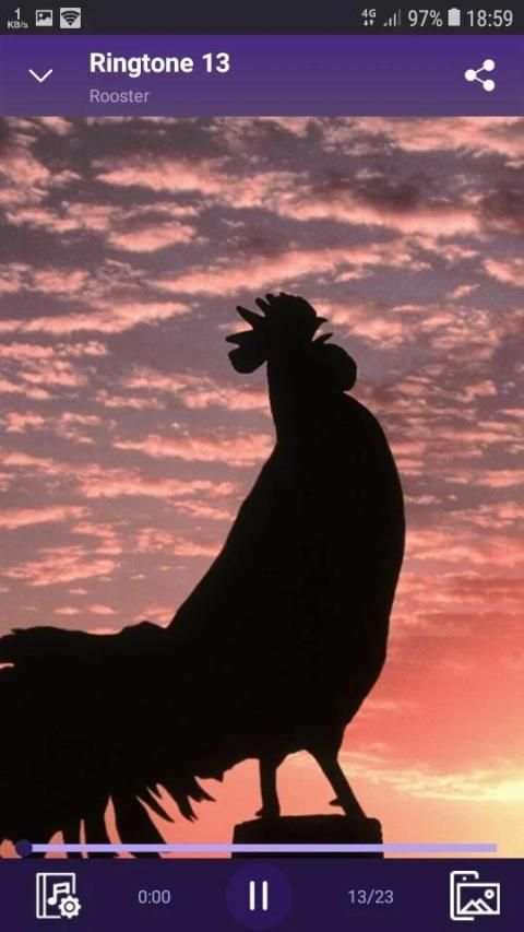 Rooster - RINGTONES and WALLPAPERS screenshot 3