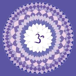 Chakras 3.0