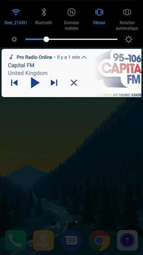 Pro World Radio Online screenshot 1