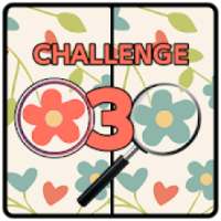 Spot Five Differences Challenge 3 (only Geniuses)