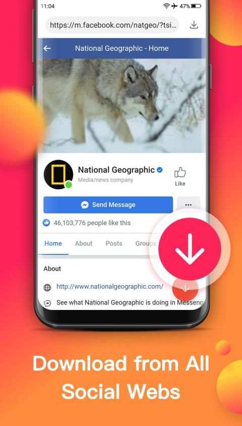 Video Downloader – Online HD Video Download App screenshot 7