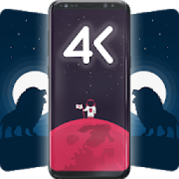 Black Wallpaper आइकन