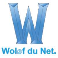 Wolof du Net