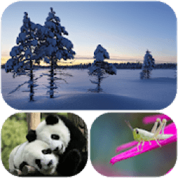 30 уровней. Задача आइकन