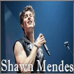 Shawn Mendes 1.0