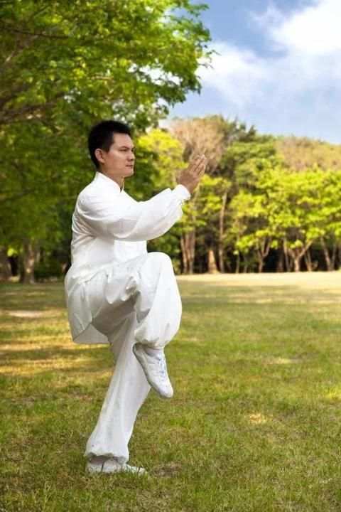Learn Kung Fu Training 2019 screenshot 7