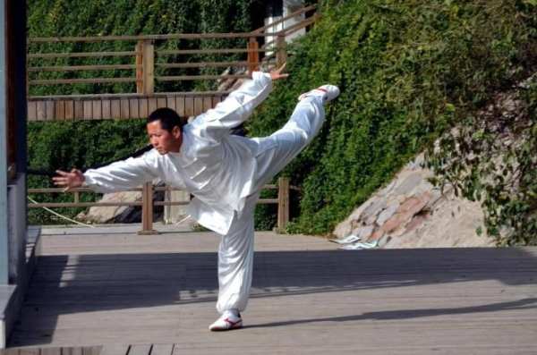 Learn Kung Fu Training 2019 screenshot 3