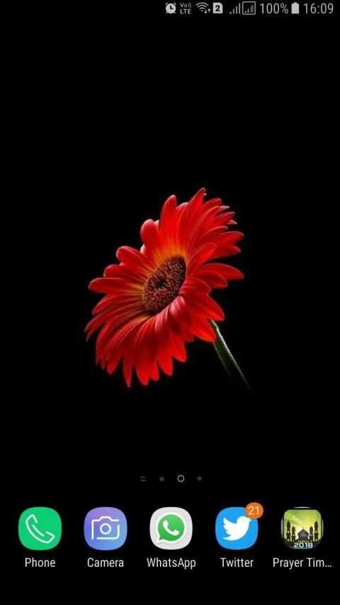 HD Background Flower Wallpaper screenshot 11