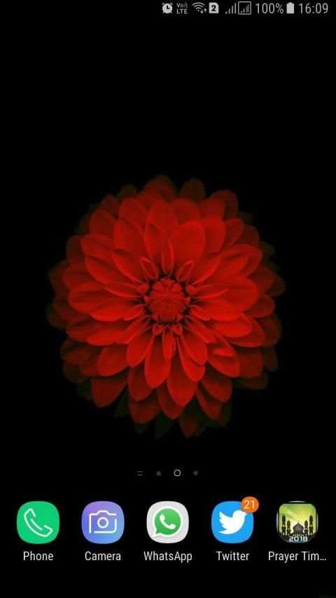 HD Background Flower Wallpaper screenshot 8