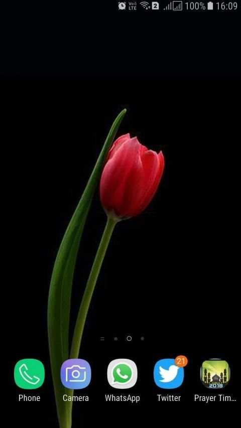 HD Background Flower Wallpaper स्क्रीनशॉट 12
