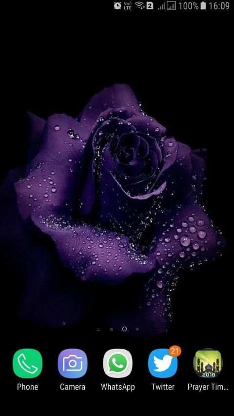HD Background Flower Wallpaper screenshot 1