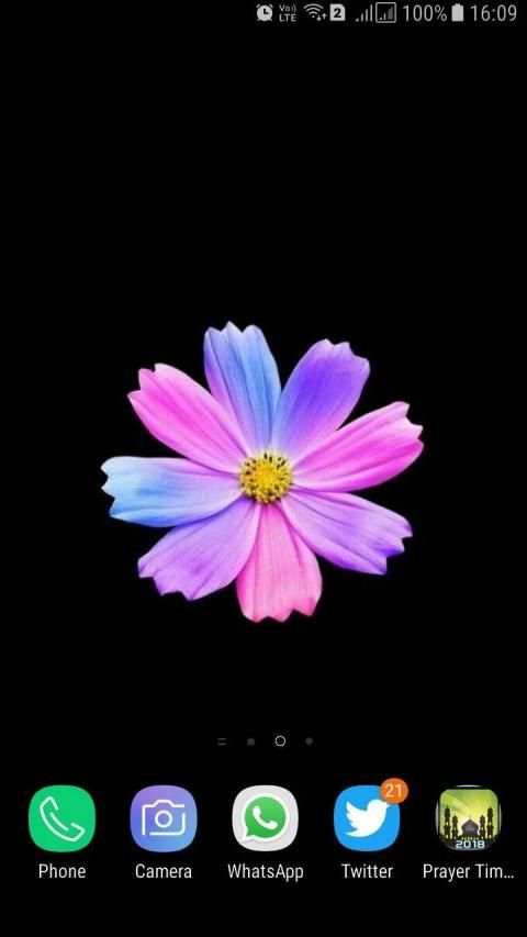 HD Background Flower Wallpaper स्क्रीनशॉट 10