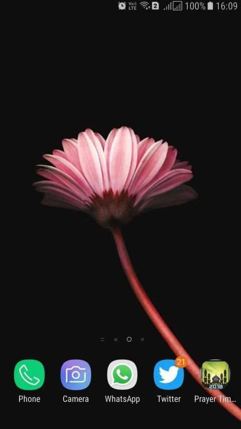 HD Background Flower Wallpaper screenshot 6