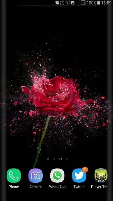 HD Background Flower Wallpaper स्क्रीनशॉट 14