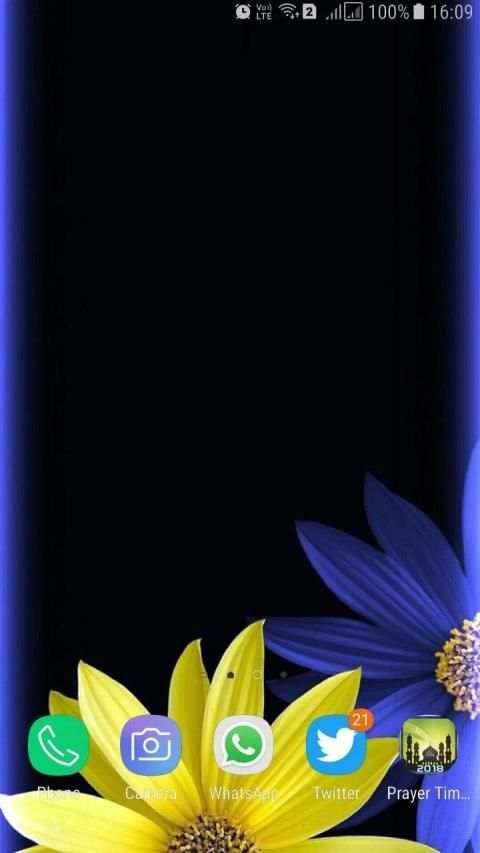 HD Background Flower Wallpaper स्क्रीनशॉट 7