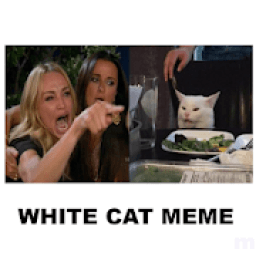 Woman Yelling At Cat Meme icon