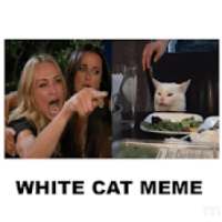 Woman Yelling At Cat Meme