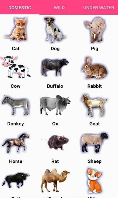 English kids Learning screenshot 4