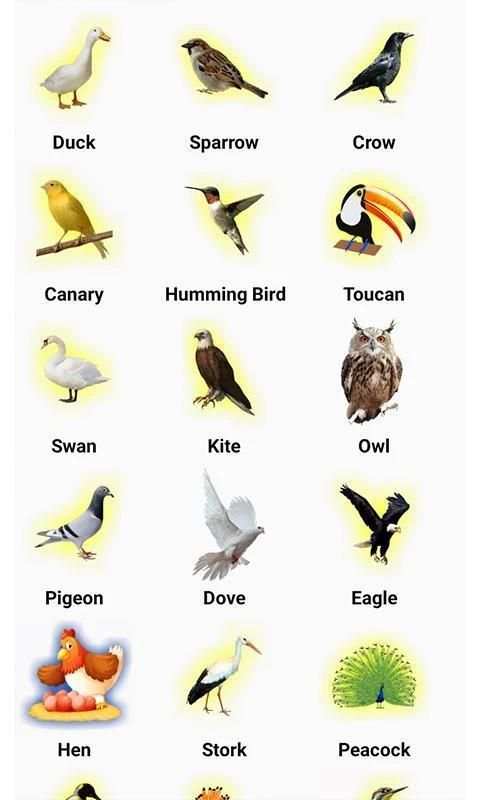 English kids Learning screenshot 2