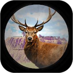 Wild Deer Hunting Game - Animal Sniper Hunter 2019