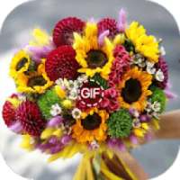 Flores Imagens GIF 2020 on 9Apps