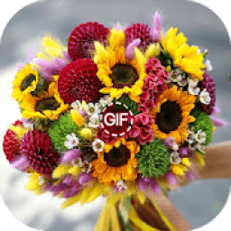 Flores Imagens GIF 2020 icon