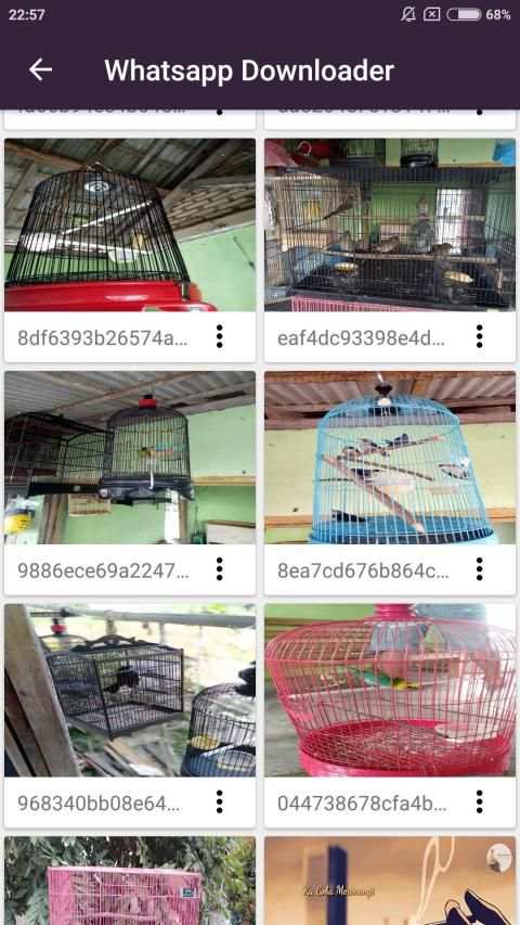 Apps Downloader Instagram FB WA 2019 screenshot 3