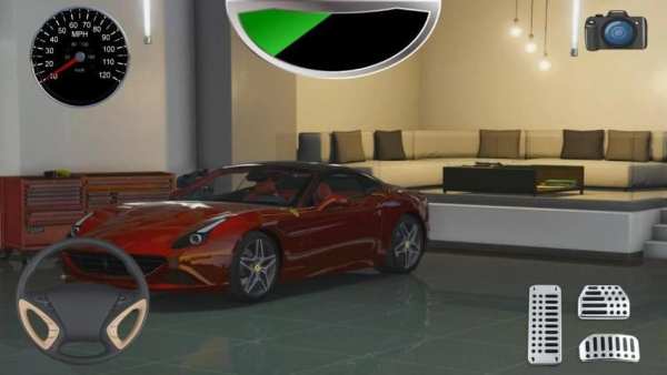 Driving Fer California Racing Simulator screenshot 3