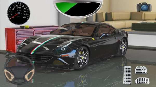 Driving Fer California Racing Simulator screenshot 1