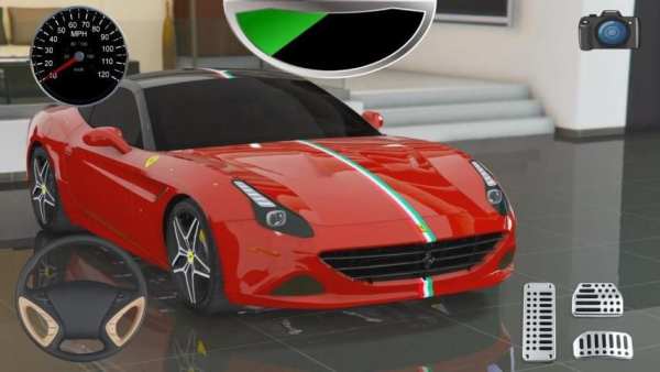 Driving Fer California Racing Simulator screenshot 2