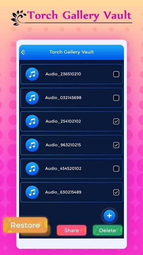 Torch Gallery Vault - Secret Gallery Vault स्क्रीनशॉट 1