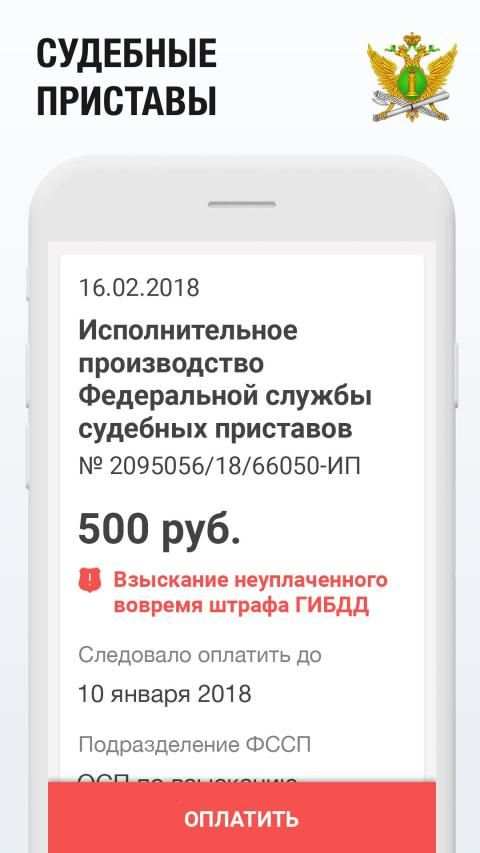 Штрафы ГИБДД с Фото - Проверка и Оплата Онлайн screenshot 9