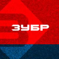 ЗУБР