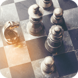 ikon Real 3D Chess Free Online Offline Two Player Game
