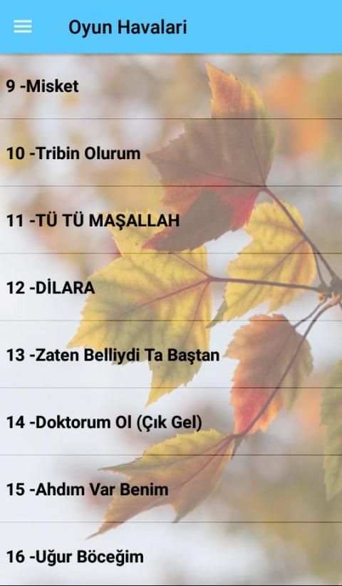 Oyun Havaları İnternetsiz (70 Şarkı) screenshot 4