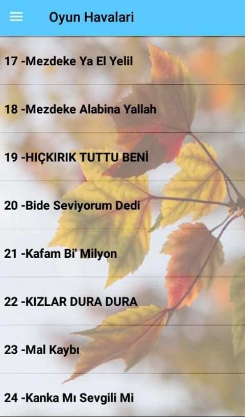 Oyun Havaları İnternetsiz (70 Şarkı) screenshot 3