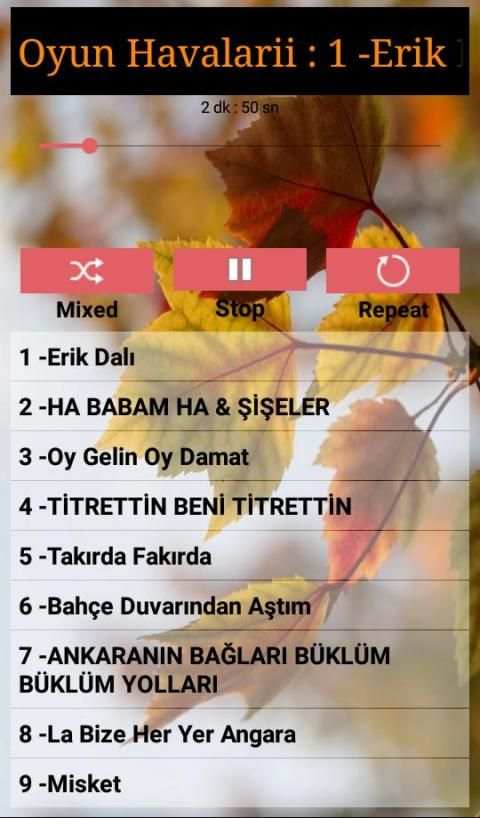 Oyun Havaları İnternetsiz (70 Şarkı) screenshot 1
