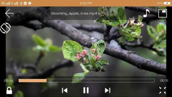 Video Player screenshot 3