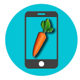 ikon Lesson FL Studio Mobile Tutorials