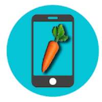 Lesson FL Studio Mobile Tutorials