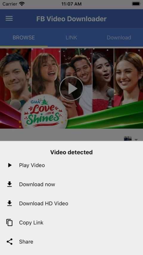 FB Video Download Tool screenshot 3