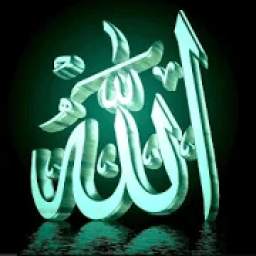 Calligraphy Of Allah 1.0