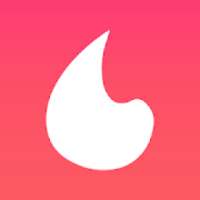 Spinym - Anonymous Questions & Feedback