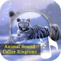 Animals Sound & Caller Ringtone