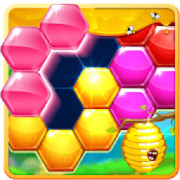 ikon Hexa Challenge Puzzle