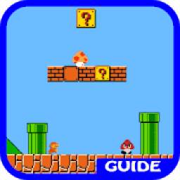 Guide (for Mario)