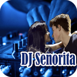 DJ Senorita icon
